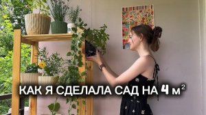 превращаю маленький балкон в сад. Часть 2
