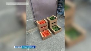 Гуманитарный груз в зону СВО отправили изобильненцы