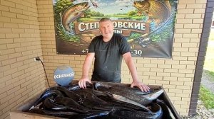 немного о прошедшей рыбалке (ночь)