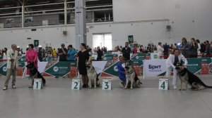 Расстановка класса чемпионов