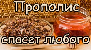 ПРОПОЛИС Лечение и Применение [Лечение практически любой болезни с помощью прополиса]