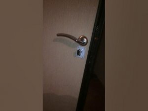 Металлическая дверь М102