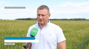 Человеческий фактор сильнее погоды: красногорские аграрии подвели итоги посевной
