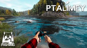 р. Белая: Шум камыша и поклевки🐟Русская рыбалка 4🐬Russian Fishing 4