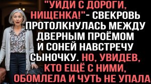 «Уйди с дороги, нищенка!» — свекровь протолкнулась между дверным проёмом и Соней навстречу сыночку
