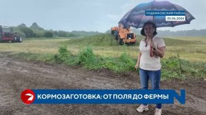 В Ивановской области начали заготовку кормов на «Заре»