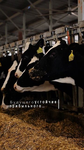 Лучший способ предсказать будущее - Создать его! смотреть онлайн