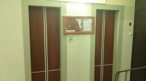 🟤Сделал створки под советский стиль! Лифты ЩЛЗ-(2011-2013 г) 400 кг, 1 м/с (@ г. Троицк)