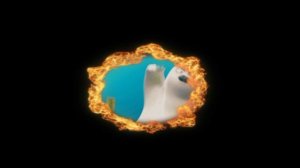 sealook