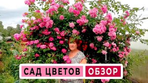 САД ЦВЕТОВ Буйство красок в цветочном саду у Татьяны