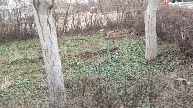 Один из дней города Евпатории | 14 марта 2022 год | Крым ХАН БАТОН XAH 6ATOH | VID_20220314_141703