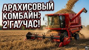 Арахис. Комбайн самоходный для уборки. Китай #арахис #комбайн #уборка