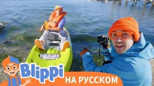 Кто живет в лесу? 🌲 Изучаем природу вместе с Блиппи