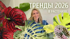 ТРЕНДЫ В РАСТЕНИЯХ 2026. Самые популярные РАСТЕНИЯ из Pinterest
