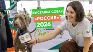 Выставка собак «Россия 2026»