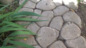Что стало с дорожкой  из бетона в пакетах после 4-х лет эксплуатации
