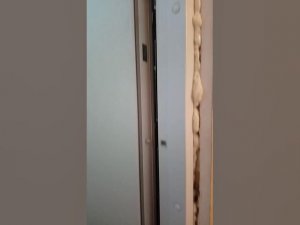 Обзор двери Страж модель Мела D