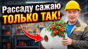 СУПЕР СПОСОБ выращивания рассады! В ТУАЛЕТНОЙ БУМАГЕ