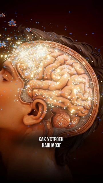 Внутренний конфликт 🔗