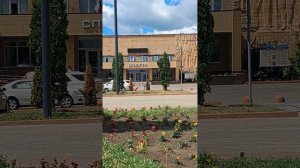 Болталка#Мира, радости и тишины 😀♥️🙏