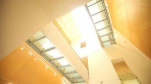 Перегородка LAB. Отзыв от ЭРМИТАЖ