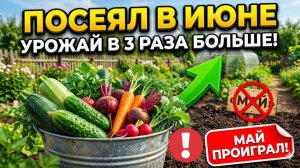 Не поздно! 7 культур, которые в июне дают урожай лучше, чем майский посев!