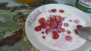 ПОДКОРМКА РАСТЕНИЙ, ШАРЛОТКА С КЛУБНИКОЙ
