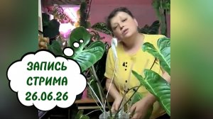 🪴 Разговоры о растениях. 🪴