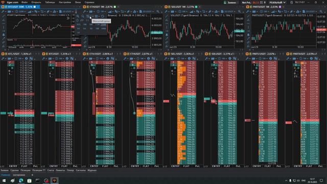 Полная настройка Tiger Trade терминала (2025)