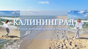 Калининград: город, который хочется узнавать. Светлогорск, Зеленоградск, Балтийск и Куршская коса