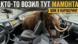 Кто-то возил тут мамонта? Шок в каршеринге