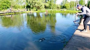 Фореливая рыбалка, ловля форели РК «Фишка Петряиха»
