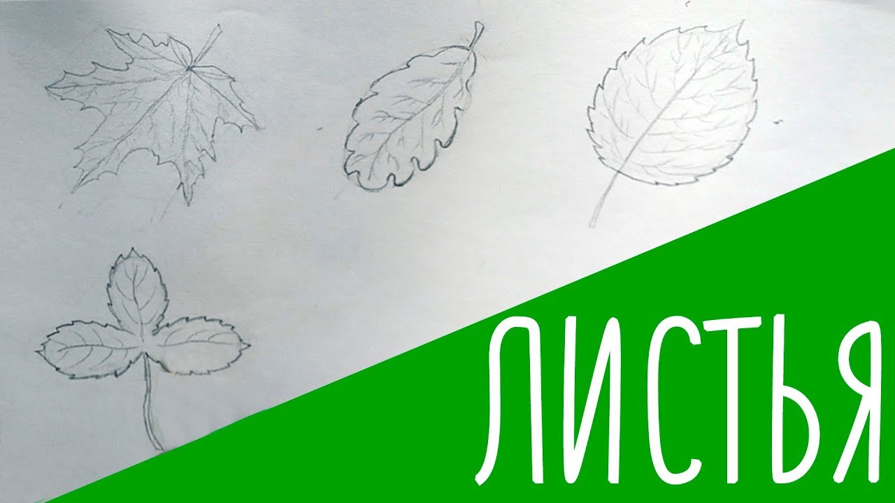 КАК РИСОВАТЬ ЛИСТЬЯ смотреть онлайн