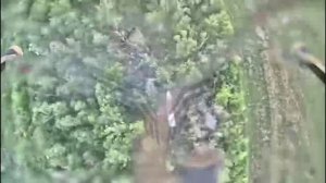 Донбасс. Сбросы и удары по позициям и FPV-дронам ВСУ.