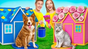 Домики Одного Цвета Челлендж с Собакой и Котиком