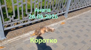 Анапа 26.06.2026 Коротко