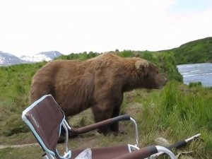 То чувство, когда забыл, зачем пришел, мужик безстрашний