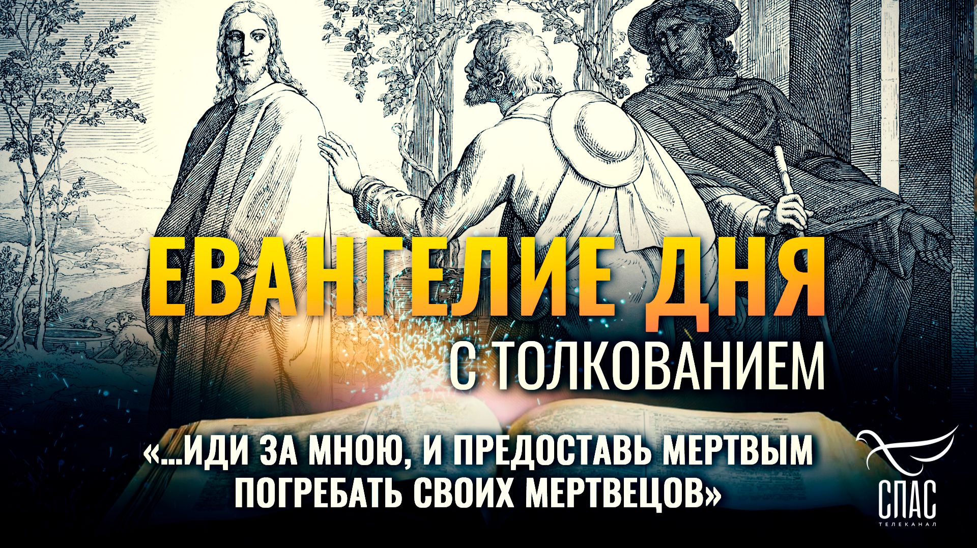 «…иди за Мною, и предоставь мертвым погребать своих мертвецов» / Евангелие дня
