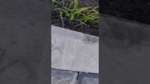 просто видео