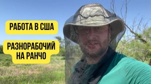 Работа в Америке за 40 долларов в час!