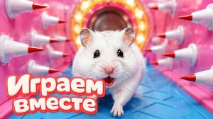 ХОМЯК ВЫБИРАЕТСЯ ИЗ СЕКРЕТНОЙ ХОМЯЧЕЙ ТЮРЬМЫ ! Забавные животные ! Супер лабиринт для хомяка №32