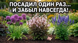 Посадил один раз — растёт всегда: девять многолетников для вашего двора