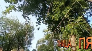 АХ ПЯТНИЦУ МЫ ВСЕ ЖДАЛИ. ОТЛИЧНОГО ДНЯ ВСЕМ.