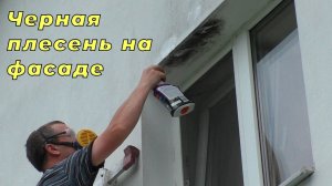 Черная плесень на фасаде над окнами