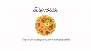 Биология. тема: Строение клетки. Клеточные органоиды.