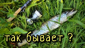 ДВАЖДЫ ПОЙМАННАЯ ЩУКА !!! НЕОБЫЧНАЯ ПОИМКА, ТАКОЕ БЫВАЕТ ??? КОМПЛЕКТ ДЛЯ ЛОВЛИ НА МАЛЫХ РЕКАХ !!!
