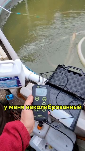 Из болота в бассейн?😏😉 | Про бассейн