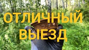Отличный выезд / поиск с металлоискателем #71