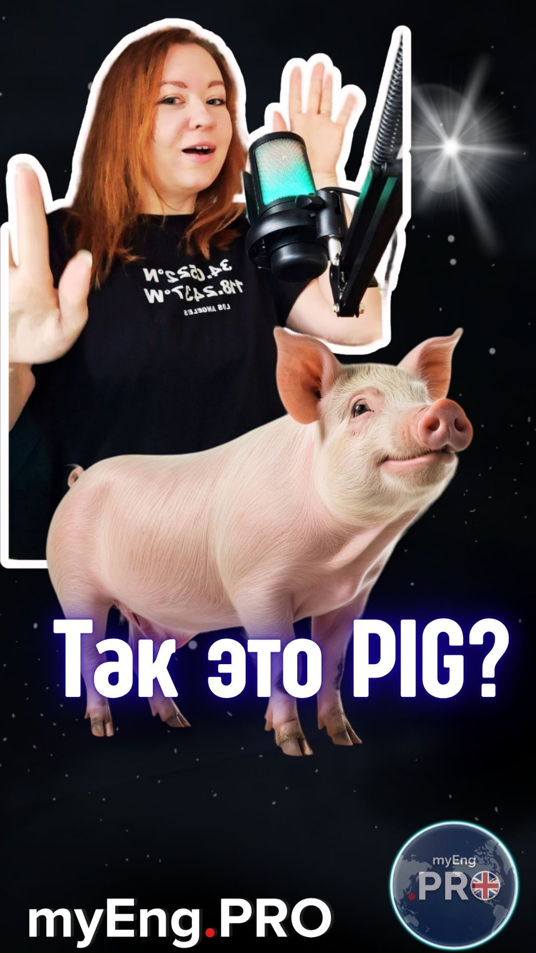 Это же свинка! A PIG !