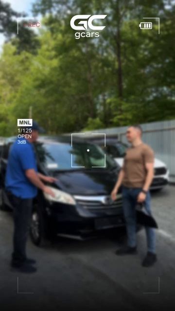 Выдали Honda Freed